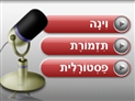screenshot of Vocabulary - 39-The Concert