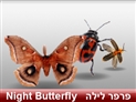 screenshot of Wildlife