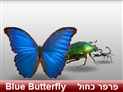 screenshot of Insects