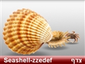 screenshot of Sea 2