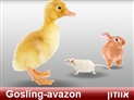 screenshot of Pets 2