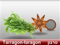 screenshot of Spices 3