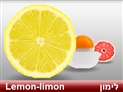 screenshot of Cirtus Fruits