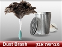 screenshot of Detergents