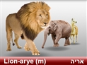 screenshot of Animals 2