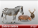 screenshot of Animals 3
