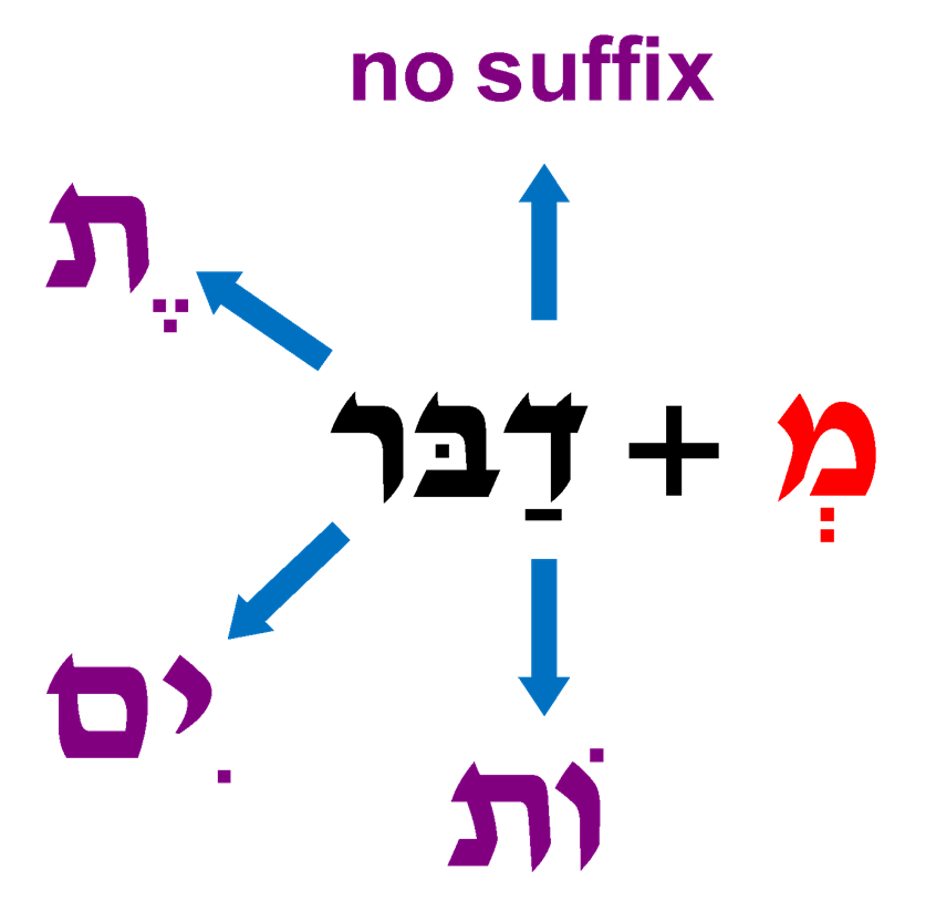 Medaber + Suffixes