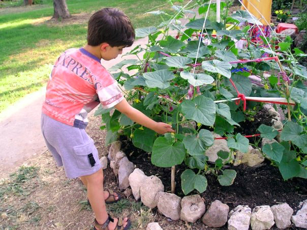 a kid in a community garden
