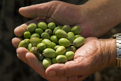 hands holding olives