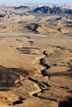 the negev desert